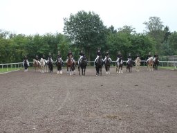 img_9401_web